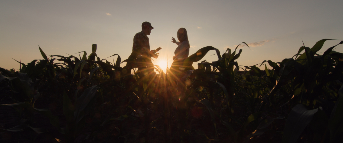 a farmer and an ag banker on the farm. Image of a farmer and an ag banker on the farm.