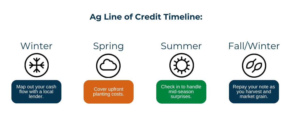 Ag line of credit timeline: Plan cash flow with a lender in winter, cover planting costs in spring, manage surprises in summer, and repay the note after harvest and grain sales.