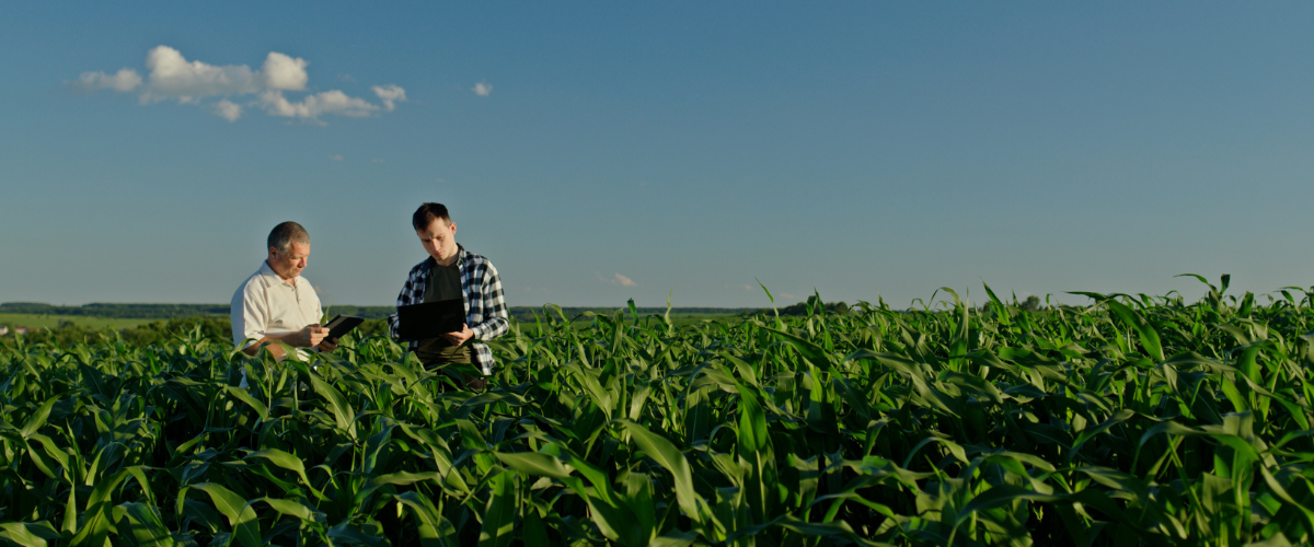 image of a farmer meeting with a banker in a field to discuss financing programs. Image of a farmer meeting with a banker in a field to discuss financing programs.