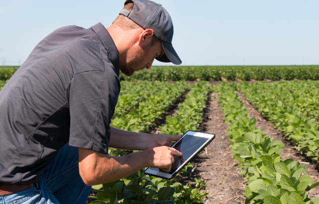 The Importance of Establishing a Record-Keeping System for Effective Farm Management